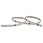 Synergy 21 LED Flex Strip 2835 - 120 NW pixel DC24V WS2811 IP20