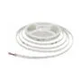 Synergy 21 LED Flex Strip 3528 - 160 SWW DC24V 48W LP IP20