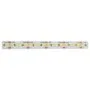 Synergy 21 LED Flex Strip 2022 - 280 KW DC24V 96W HE IP20