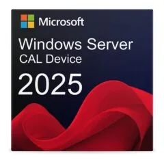 Microsoft WINSVR CAL 2025 5Device