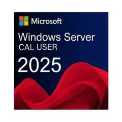 Fujitsu Windows Server 2025 CAL, 5 User