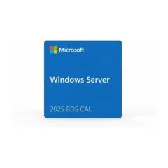 Microsoft WINSVR RDSCAL 2025 1User