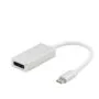 VALUE Display Adapter Typ C - DisplayPort, 4K60Hz