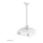 Neomounts CL25-550WH1 project mount