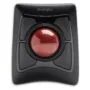 Kensington K72359WW mouse