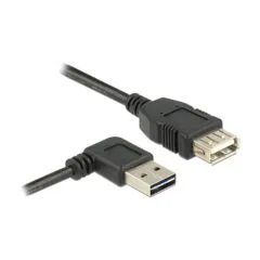 DeLOCK 3m, USB 2.0-A - USB 2.0-A USB cable