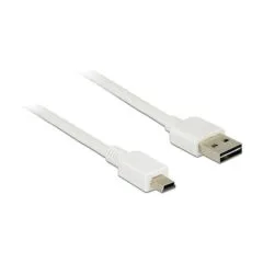 DeLOCK 1m, USB2.0-A/USB2.0 Mini-B USB cable