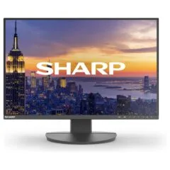Sharp MultiSync EA242W computer monitor