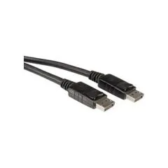 VALUE DisplayPort, 2.0m