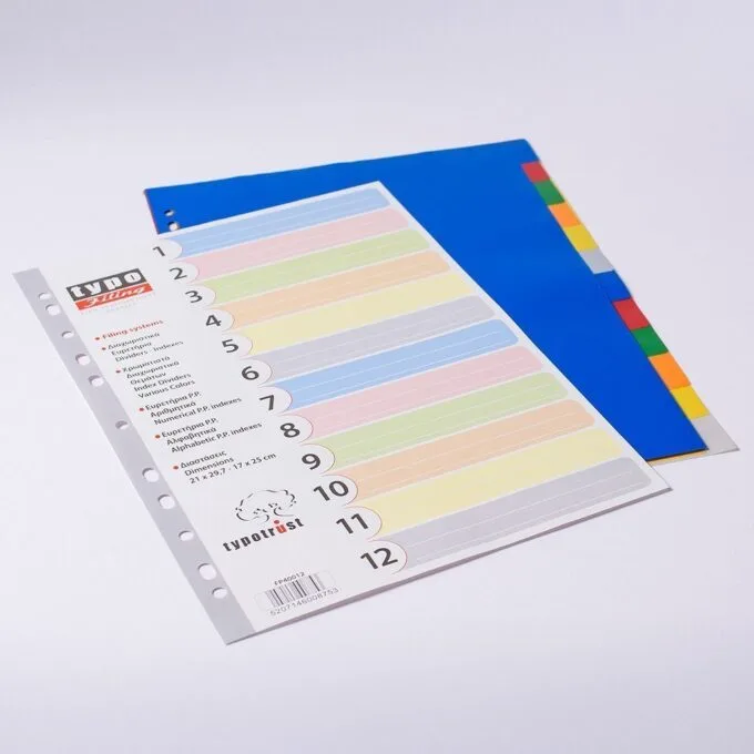 TYPOTRUST A4 PLASTIC 0.13mm DIVIDER 1-12 COLOURS — image 1