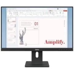 Lenovo ThinkVision E24-40 23.8-inch IPS Business Monitor â€
