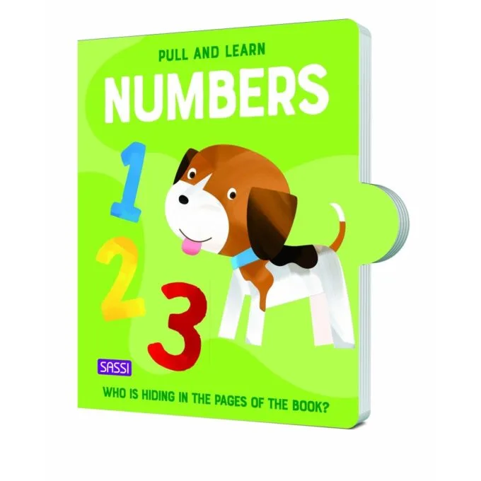 PULL AND LEARN - NUMBERS — image 1