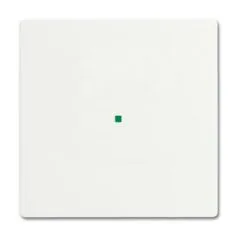 Busch-Jaeger 2CKA006220A0481 detector mount/base cover plate
