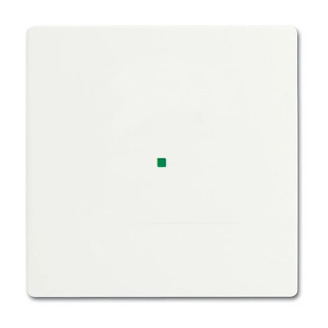 Busch-Jaeger 2CKA006220A0481 detector mount/base cover plate — image 1