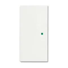 Busch-Jaeger 2CKA006220A0486 detector mount/base cover plate