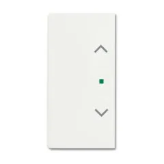 Busch-Jaeger 2CKA006220A0488 detector mount/base cover plate