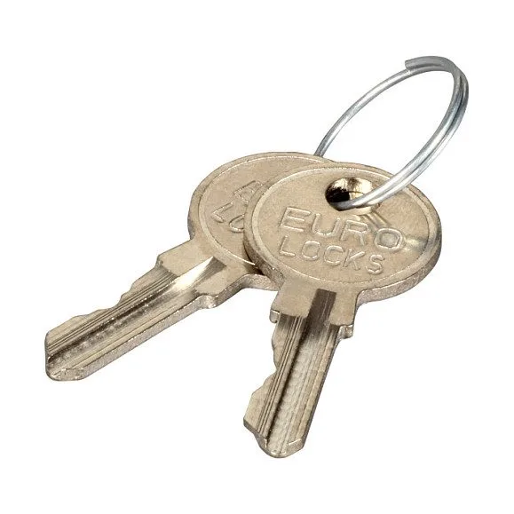 EFB Elektronik 102115 utility/control cabinet key — image 1