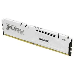 Kingston Technology FURY Beast memory module